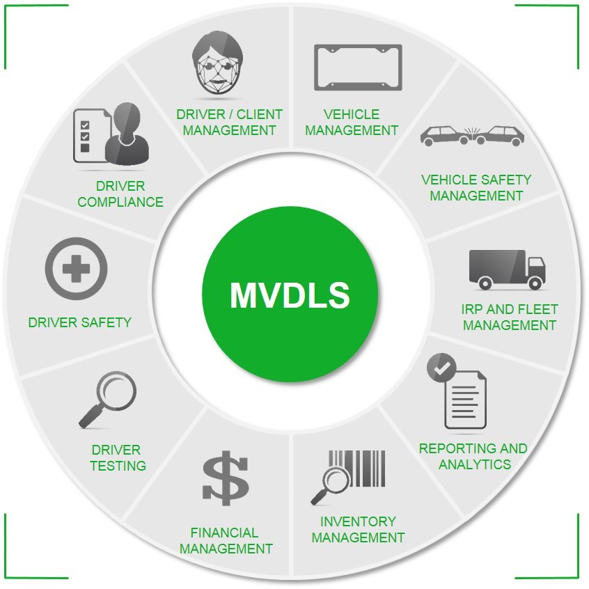 How MVDLS influences the workplace